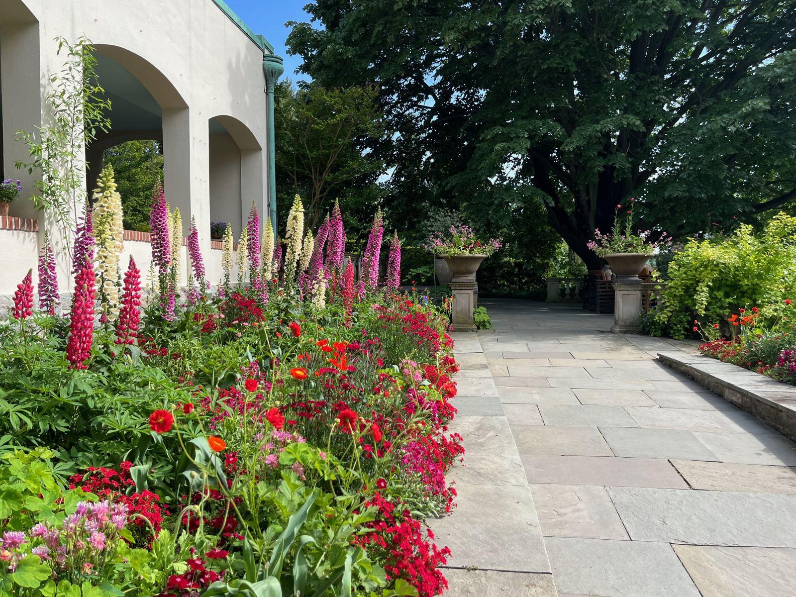 Spring flowers beside a stone terrace at the Chanticleer garden overlook in Radnor Township