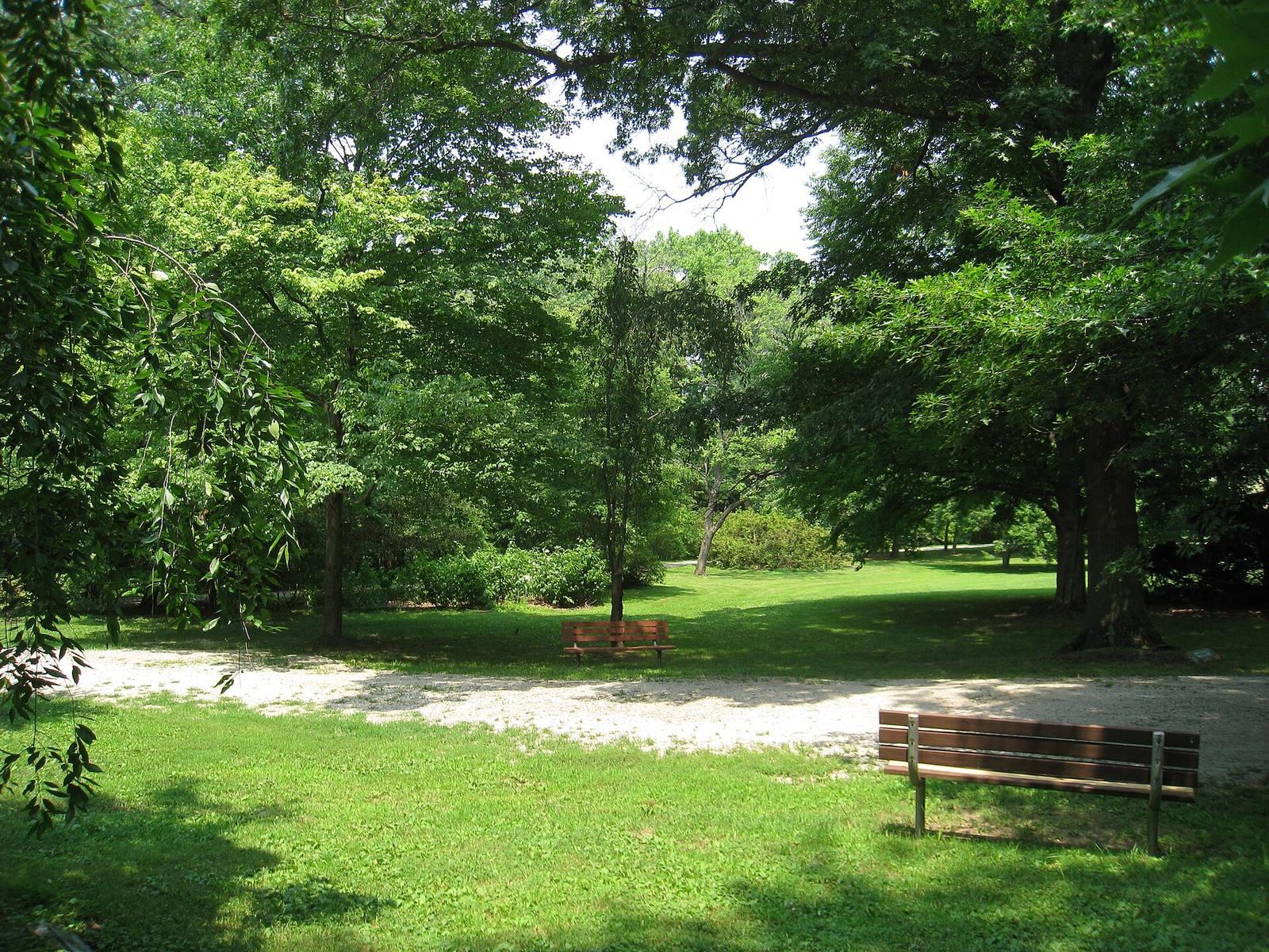 Lawns, shade trees and benches along a gravel path in Merion Botanical Park